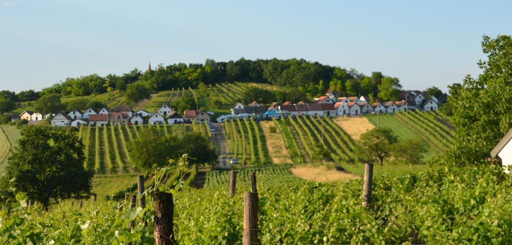 Ferienwohnung Herrmann Pottenhofen Kültér fotó